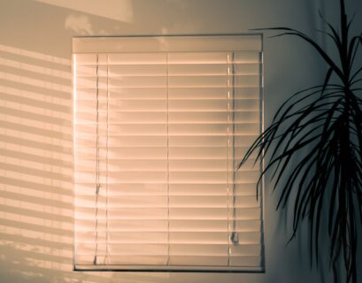 white closed window blind near green leaf plant inside room