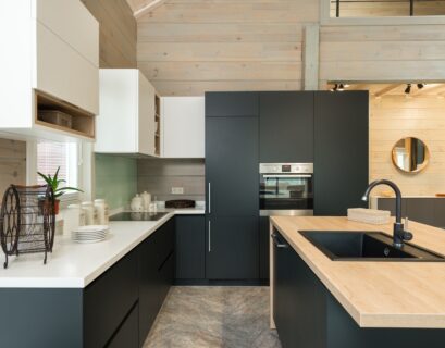 Modern kitchen with matte cupboards and built in appliances