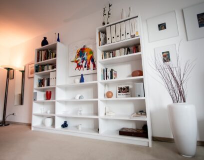 white wooden shelf with books