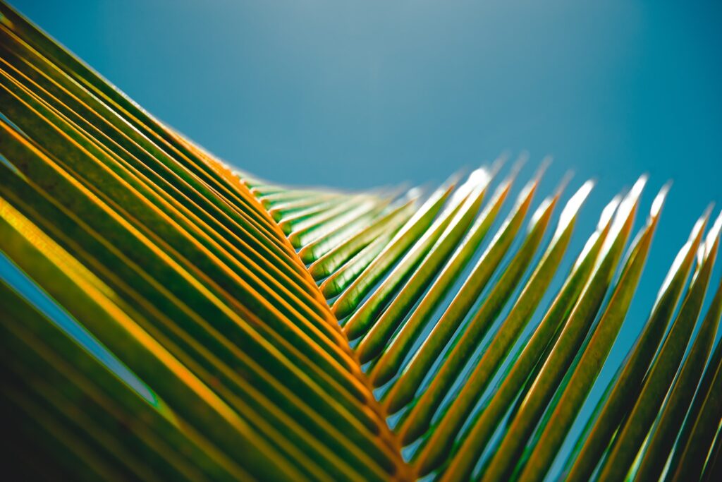 Tropical Paradise for Beautiful Bridal Shower Decoration Ideas to Celebrate in Style