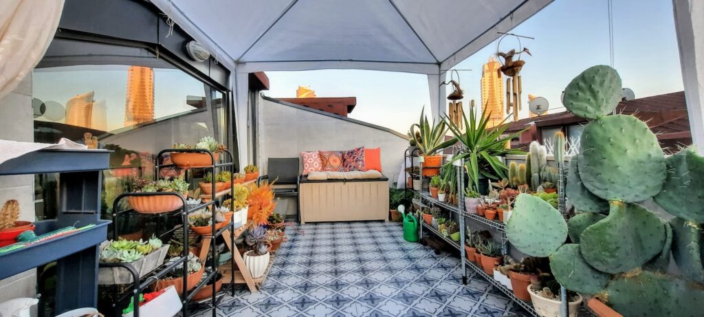 Transform Your Balcony with Plant Decor: Inspiring Ideas for Balcony Decoration