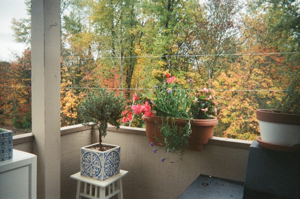 Transform Your Balcony with Plant Decor: Inspiring Ideas for Balcony Decoration