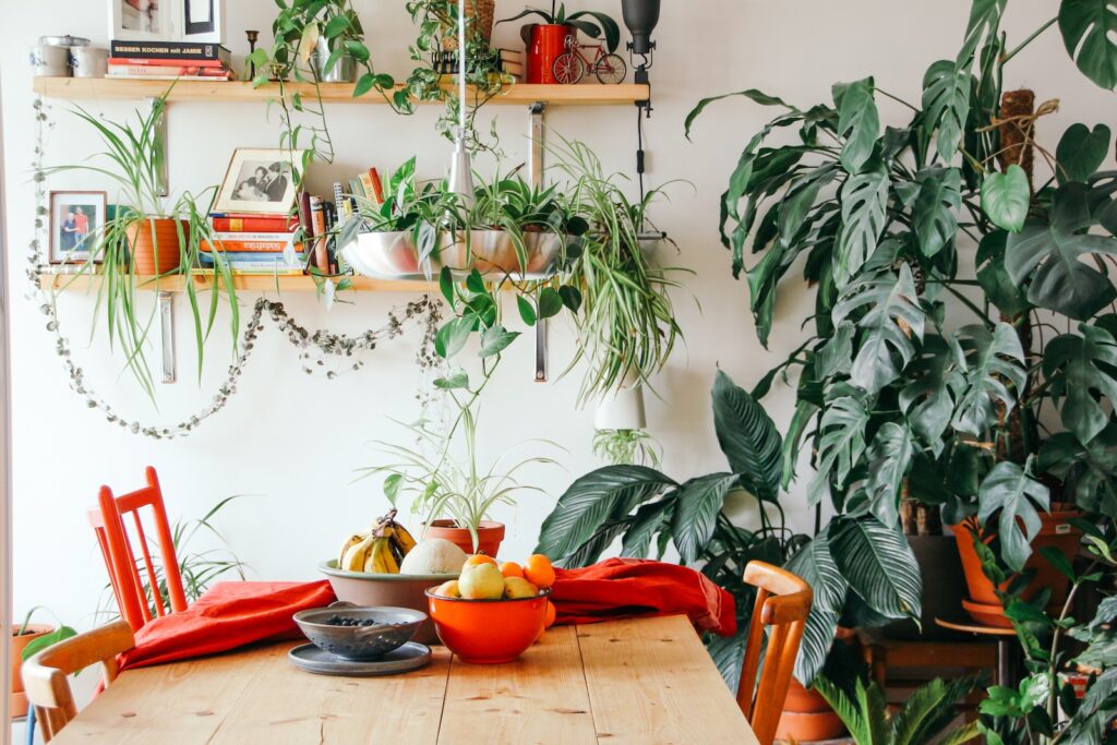 Scandinavian Decoration: Simplicity and Elegance for Your Home