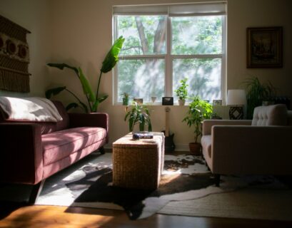 green potted plant on white table